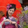 藤まつり