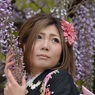 藤まつり