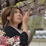 藤まつり