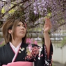藤まつり