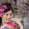 藤まつり