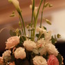 しあわせの花