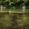小瀬見橋上流川辺