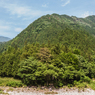 高見地区から高賀山方面の眺め