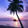 southern sunset