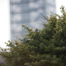 IMG_1902