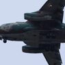 美保基地航空祭2013その２