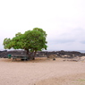 Cloudy Beach