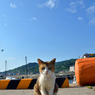 DSC_7010