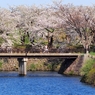 五稜郭公園（ランナー）