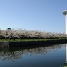 五稜郭公園（新五稜郭タワー）