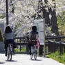 五稜郭公園（学生）