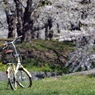 五稜郭公園（自転車）