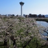 五稜郭公園（鳥瞰）