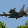 JASDF F-15J 12-8803(3)