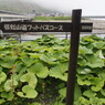 20130606091406
