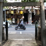 ナゴヤ・チャンプルー