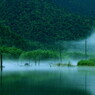 朝靄　～大正池～