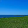 Blue and green