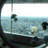 ふわり♪空中散歩