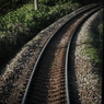 DSCN0345