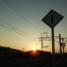 DSCN0376
