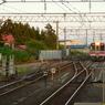 DSCN0386