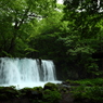 新緑の銚子大滝