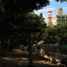 目黒周辺散策　清水池公園