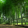 目黒周辺散策　すずめのお宿緑地公園