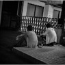 Ogikubo at Night #07