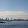 IMG_1721_dev
