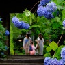 明月院