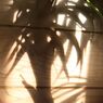 夕映え