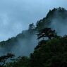 山霧