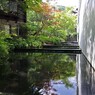 新緑の池Ⅲ
