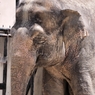 京都市動物園12