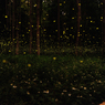 firefly galaxy