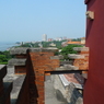 P1060101