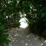 P1010692