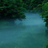 湖上の霧　～奥多摩白丸ダム～