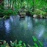 「雨に香る天授庵」