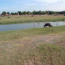 P1100159