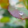 雨の日に