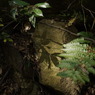 photo_2618210