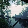 新緑の池Ⅹ