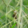 もう、２度と、動かない。　IMG_2156a