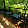 京都 新緑めぐり 2013　3