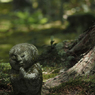 京都 新緑めぐり 2013　4