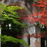 京都 新緑めぐり 2013　5